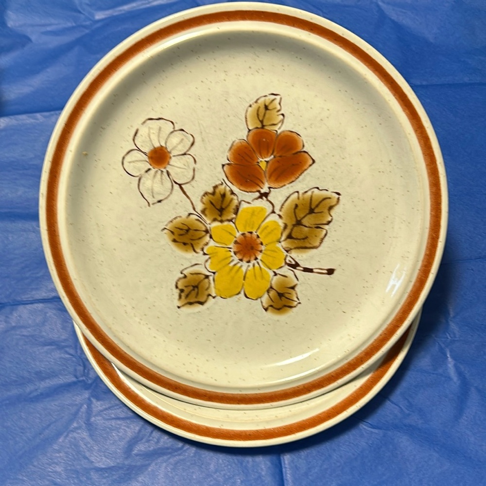 Set of 2 Vintage 70's Wild Poppy Stoneware Plates 8 inches Hand Decorated